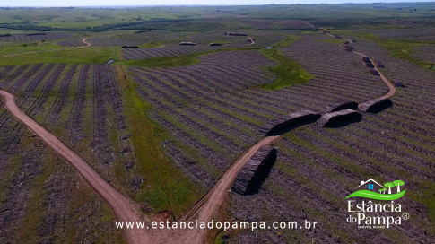 DOS EÓLICOS VIRA P FAZENDA_Moment.00_01_32_19.Quadro323_b3709b2a700ec5c36f29d9b4d3740533228b0a59.jpg